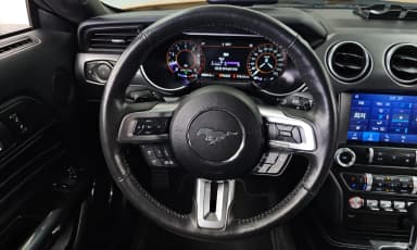 Mustang