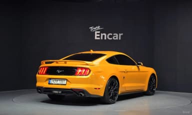 Mustang