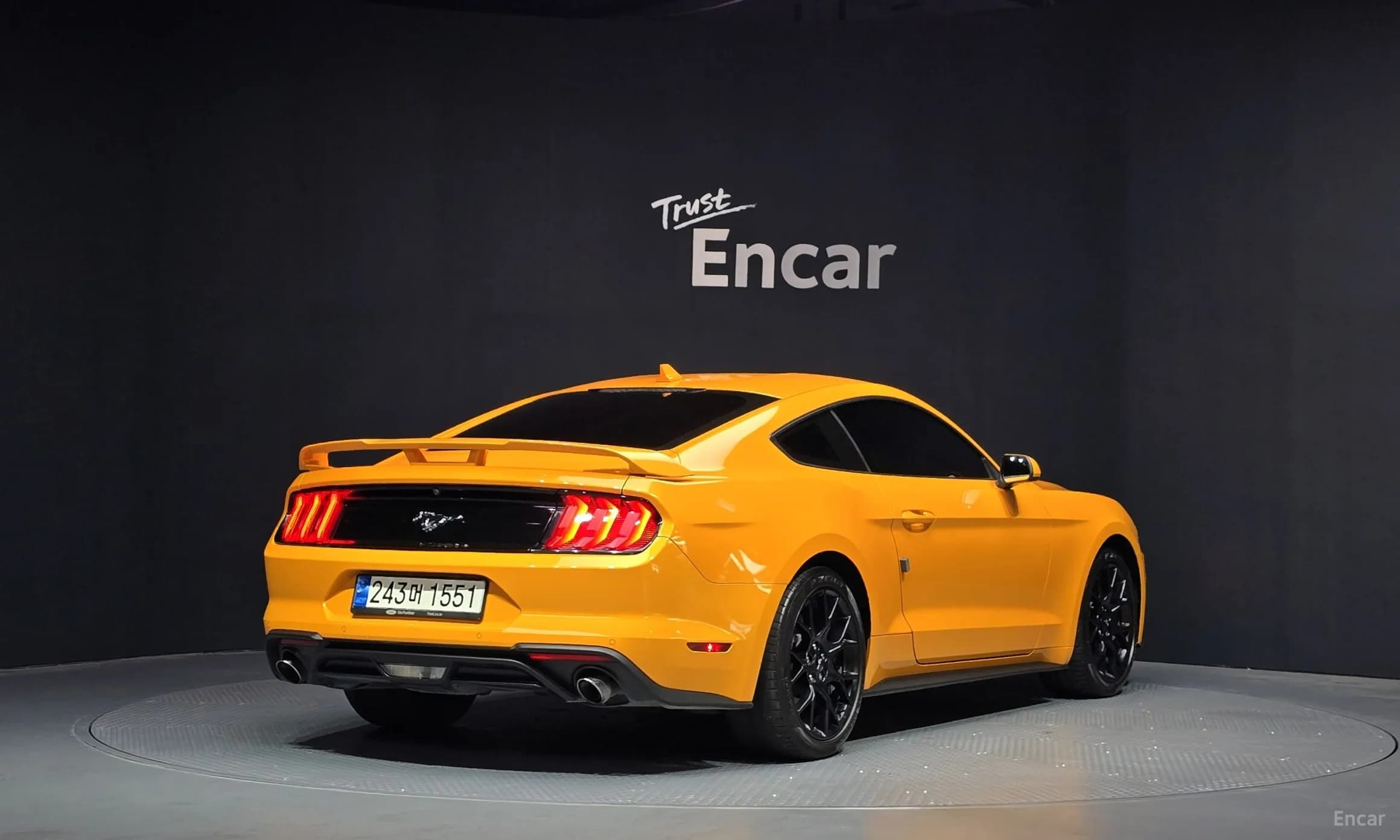Mustang
