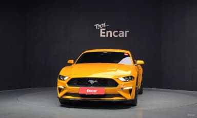 Mustang
