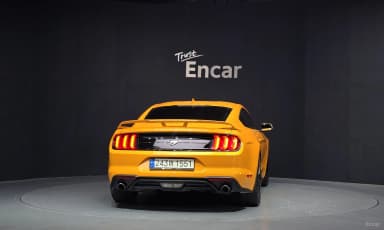 Mustang