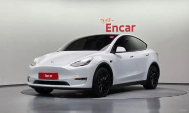 Model Y