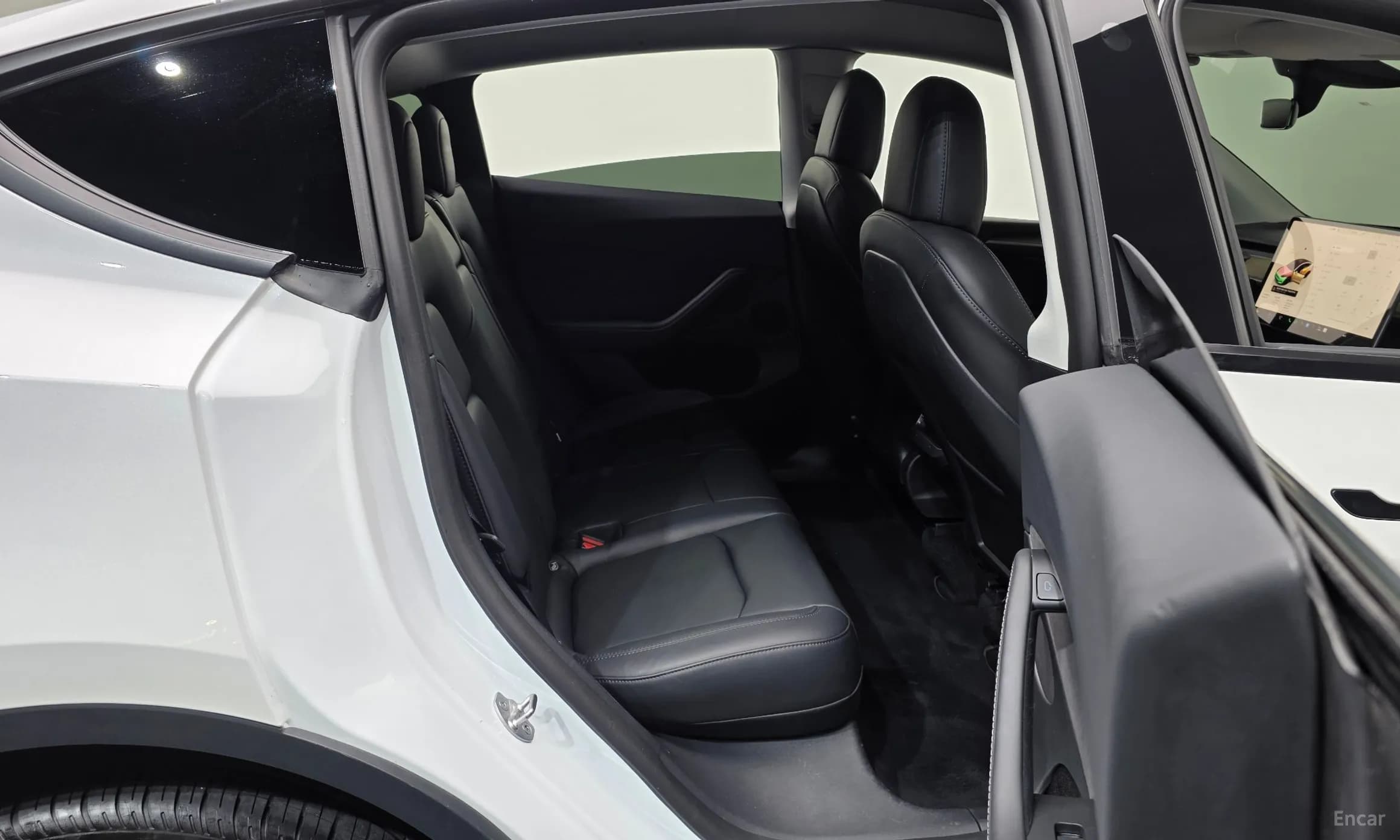 Model Y