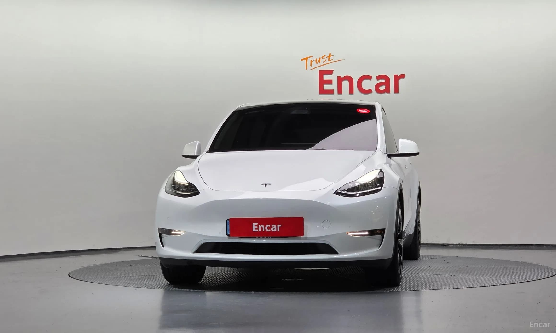 Model Y