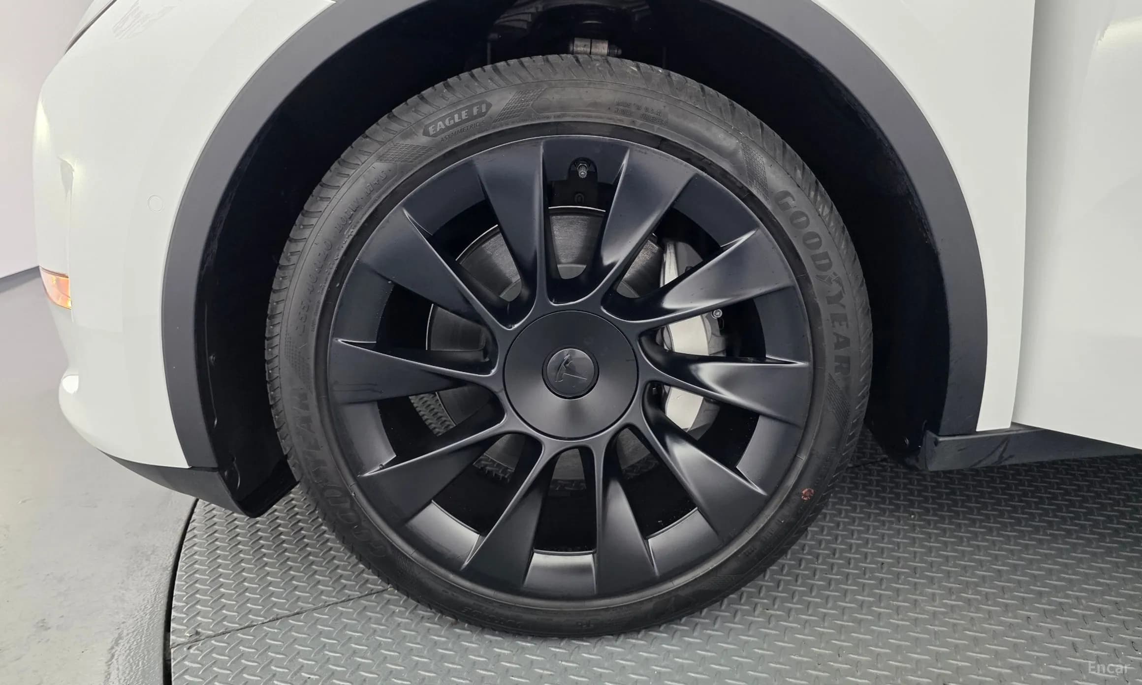 Model Y