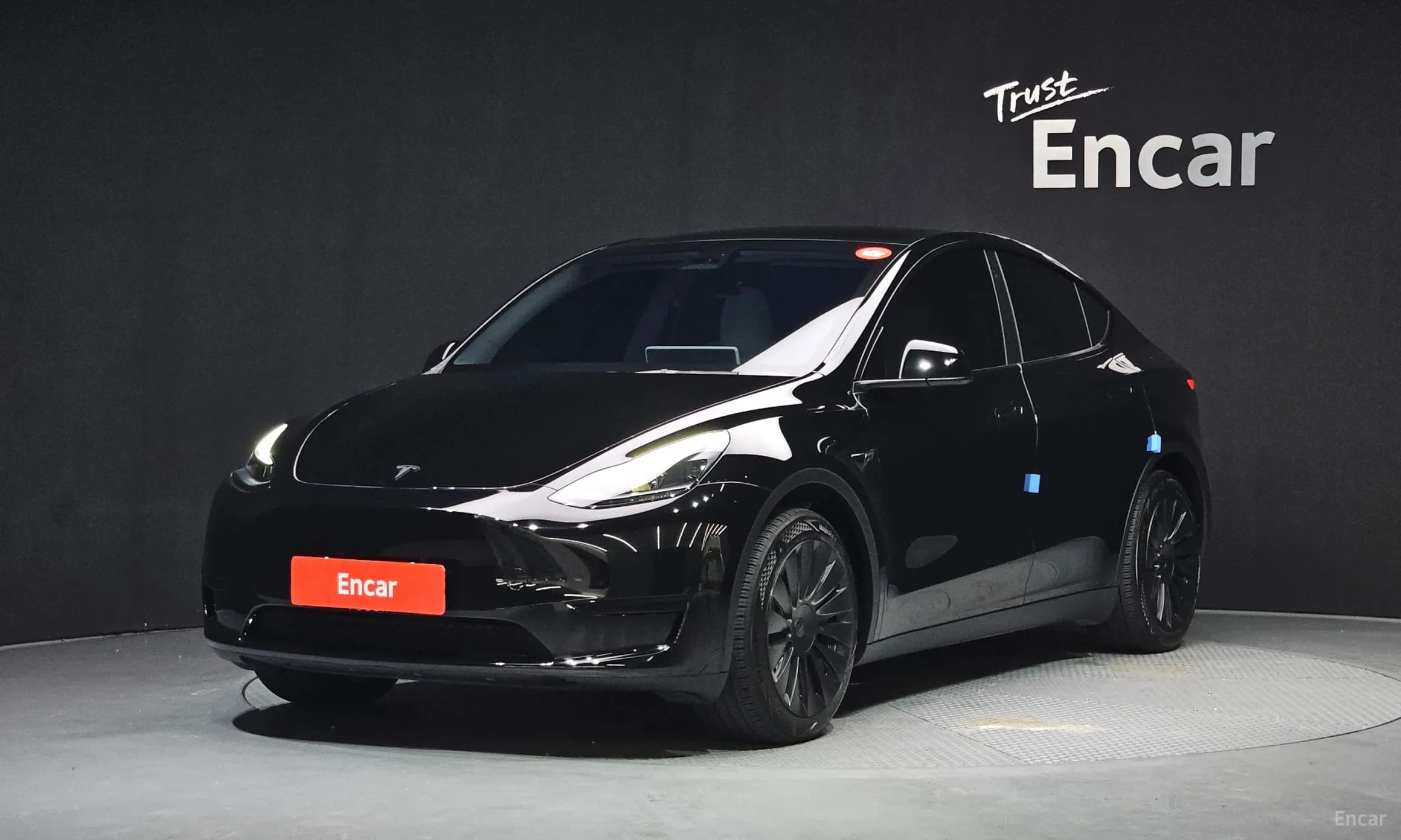 Model Y