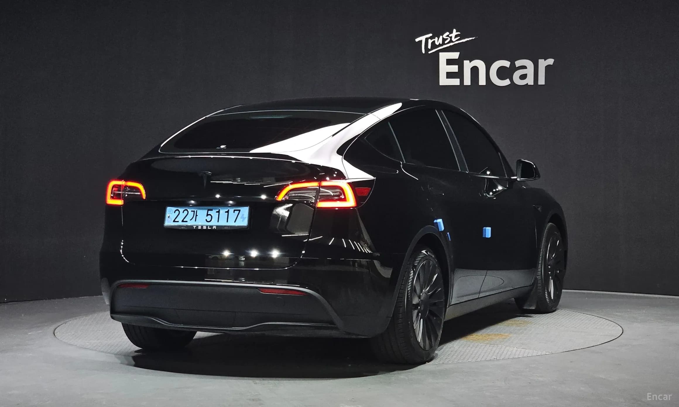 Model Y