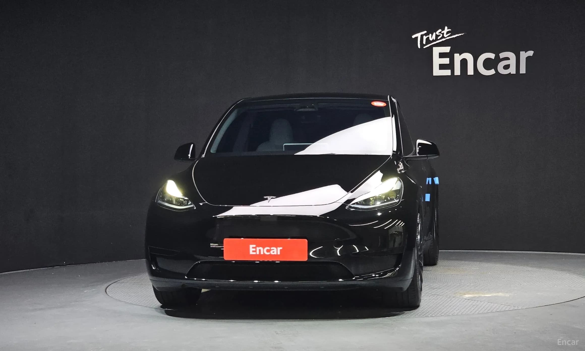 Model Y