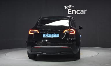 Model Y