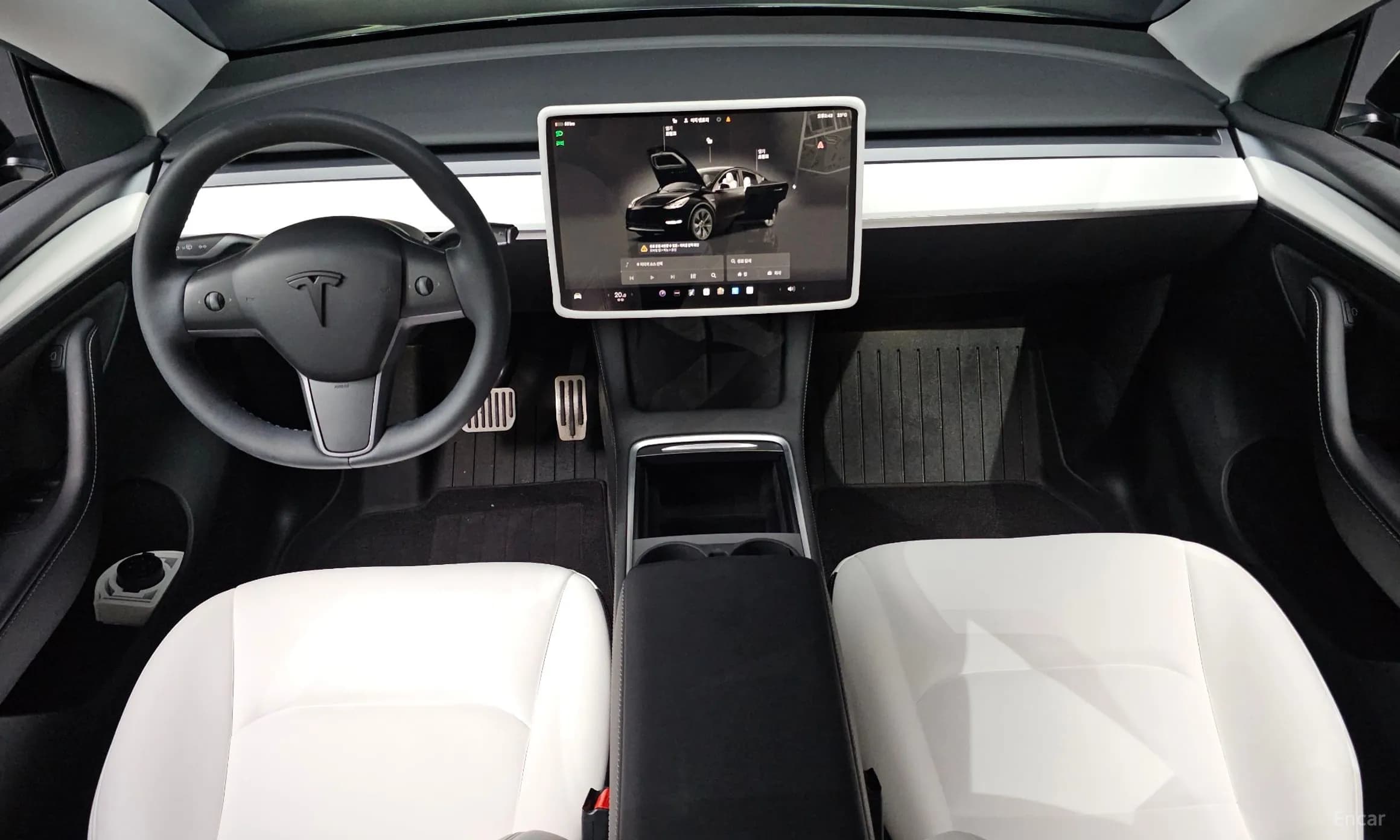Model Y