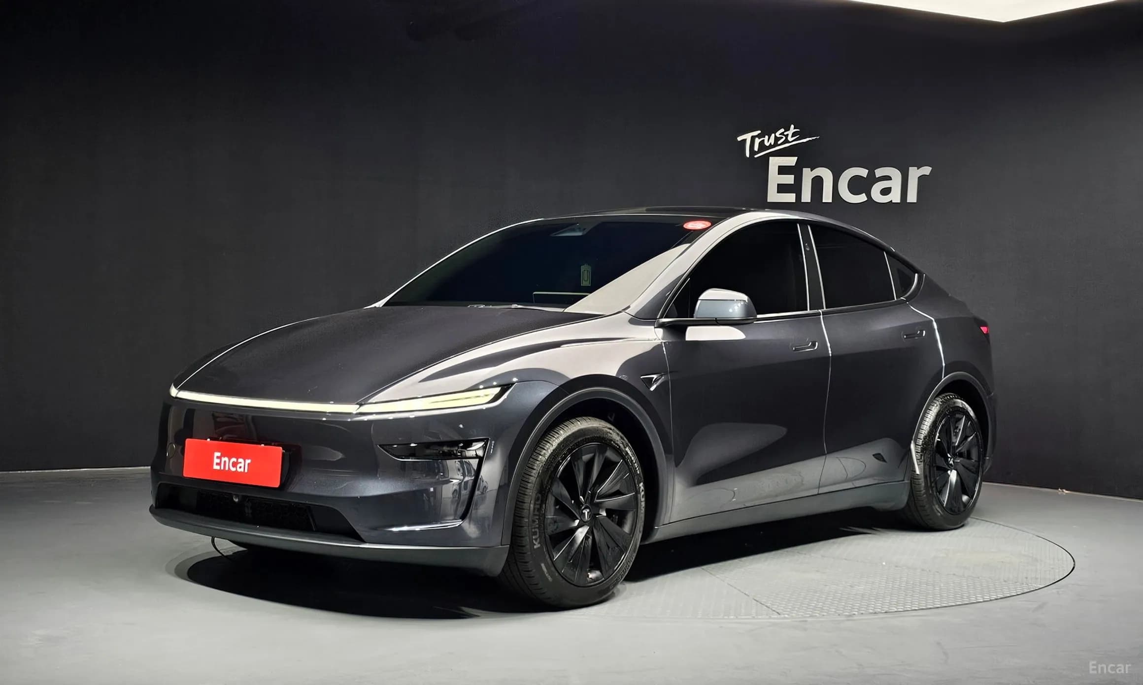 Model Y