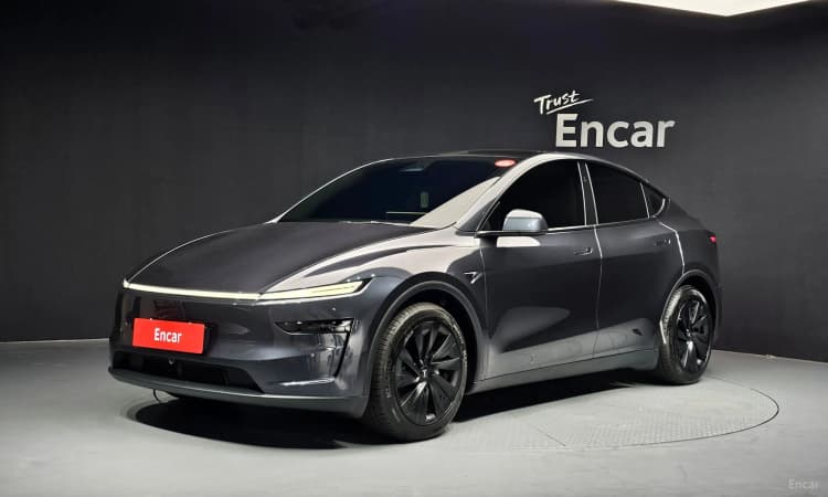 Model Y