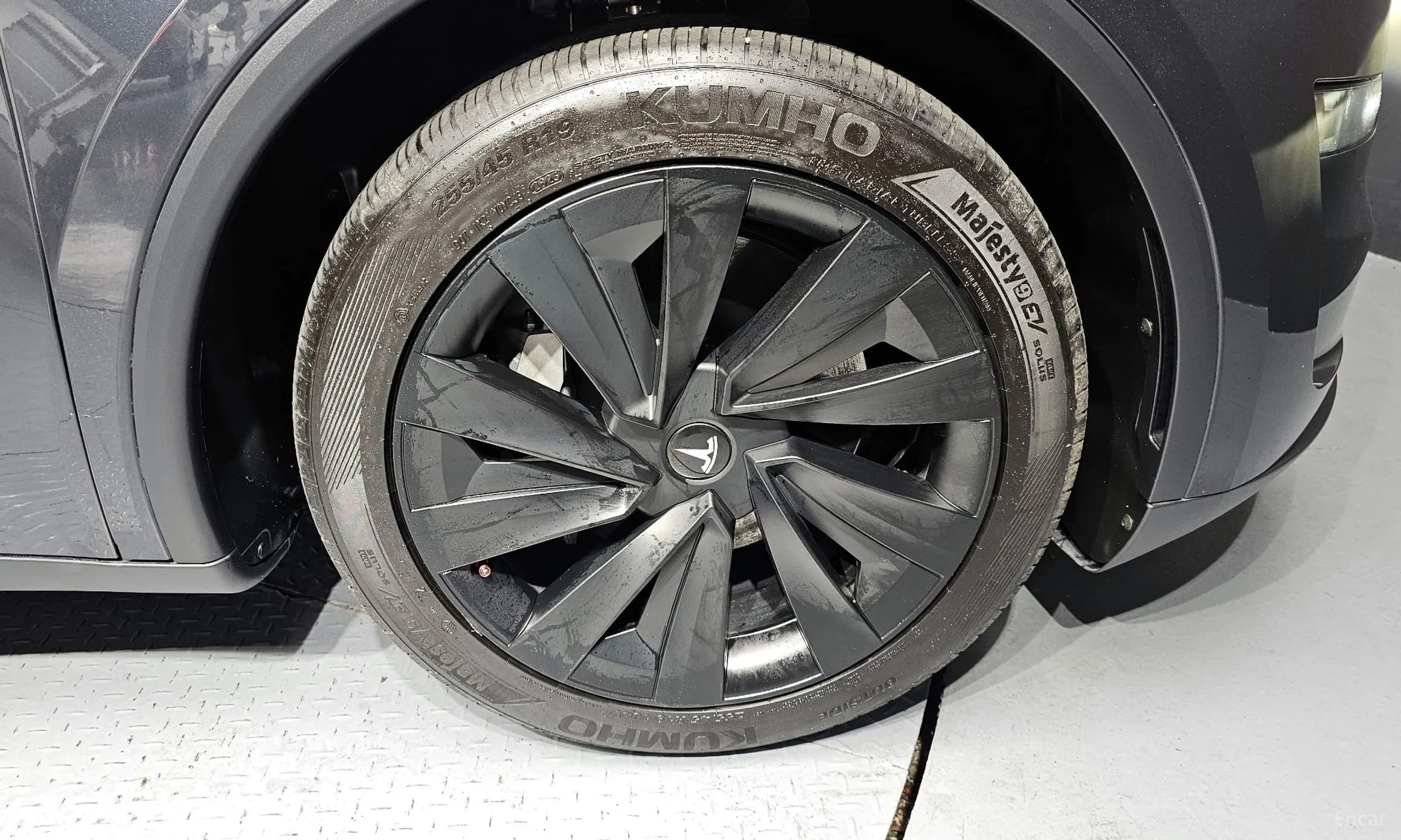 Model Y