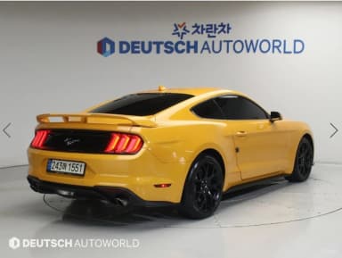 Mustang