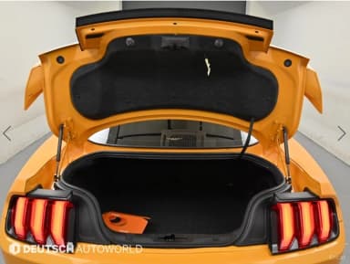 Mustang