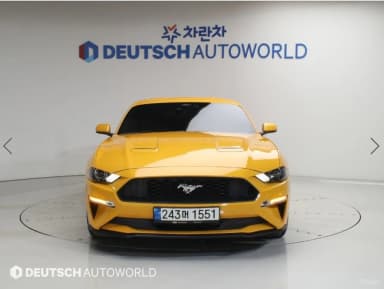 Mustang