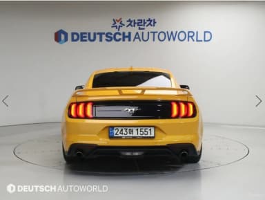 Mustang