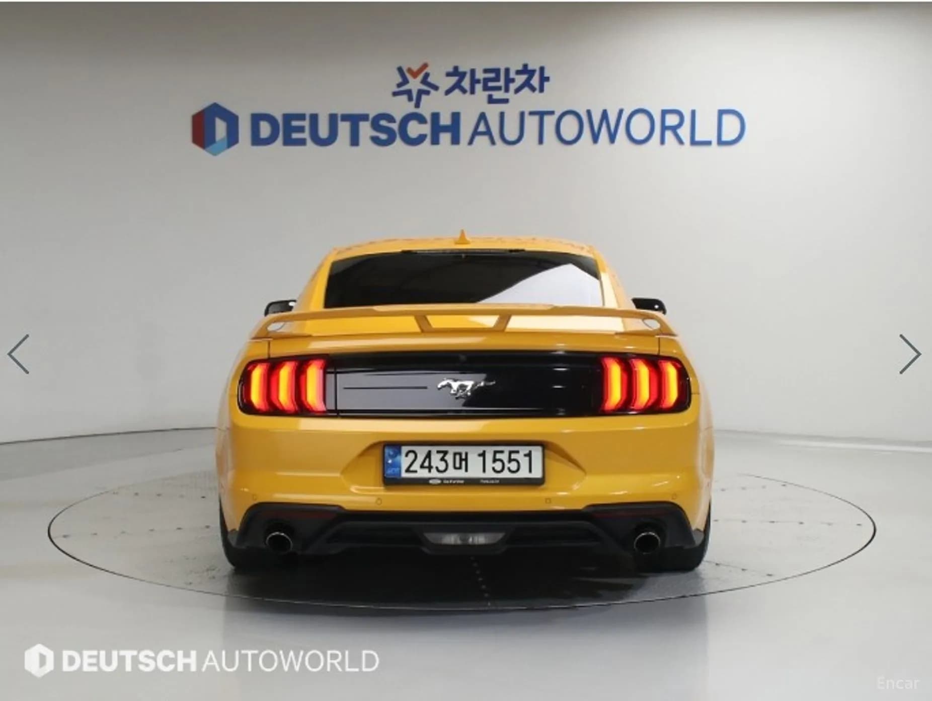 Mustang