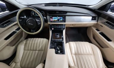 XF (x260)