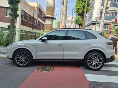 Cayenne (PO536)