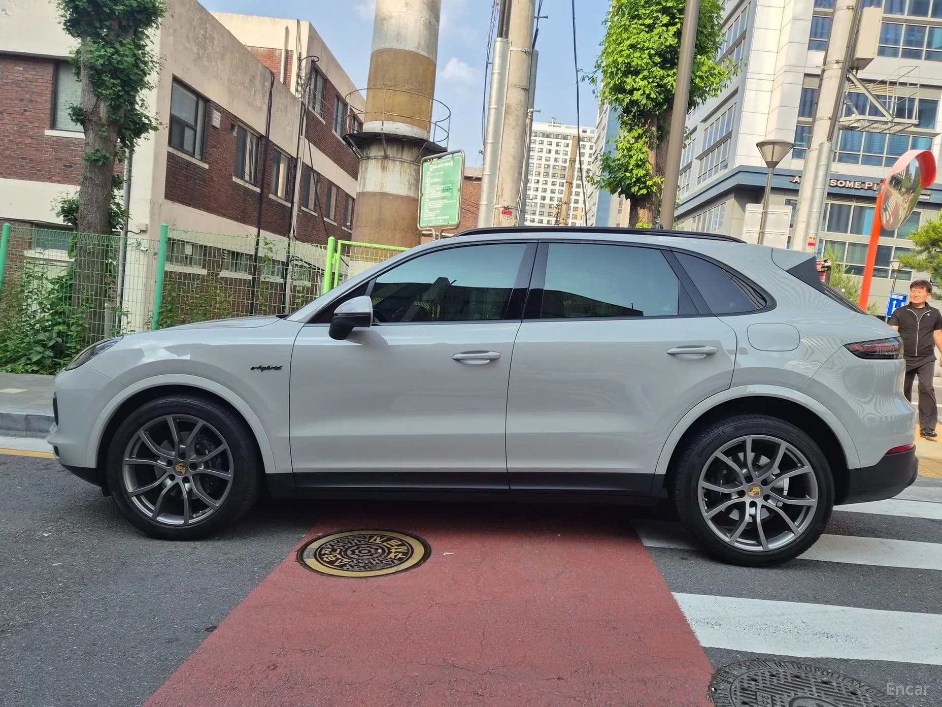 Cayenne (PO536)