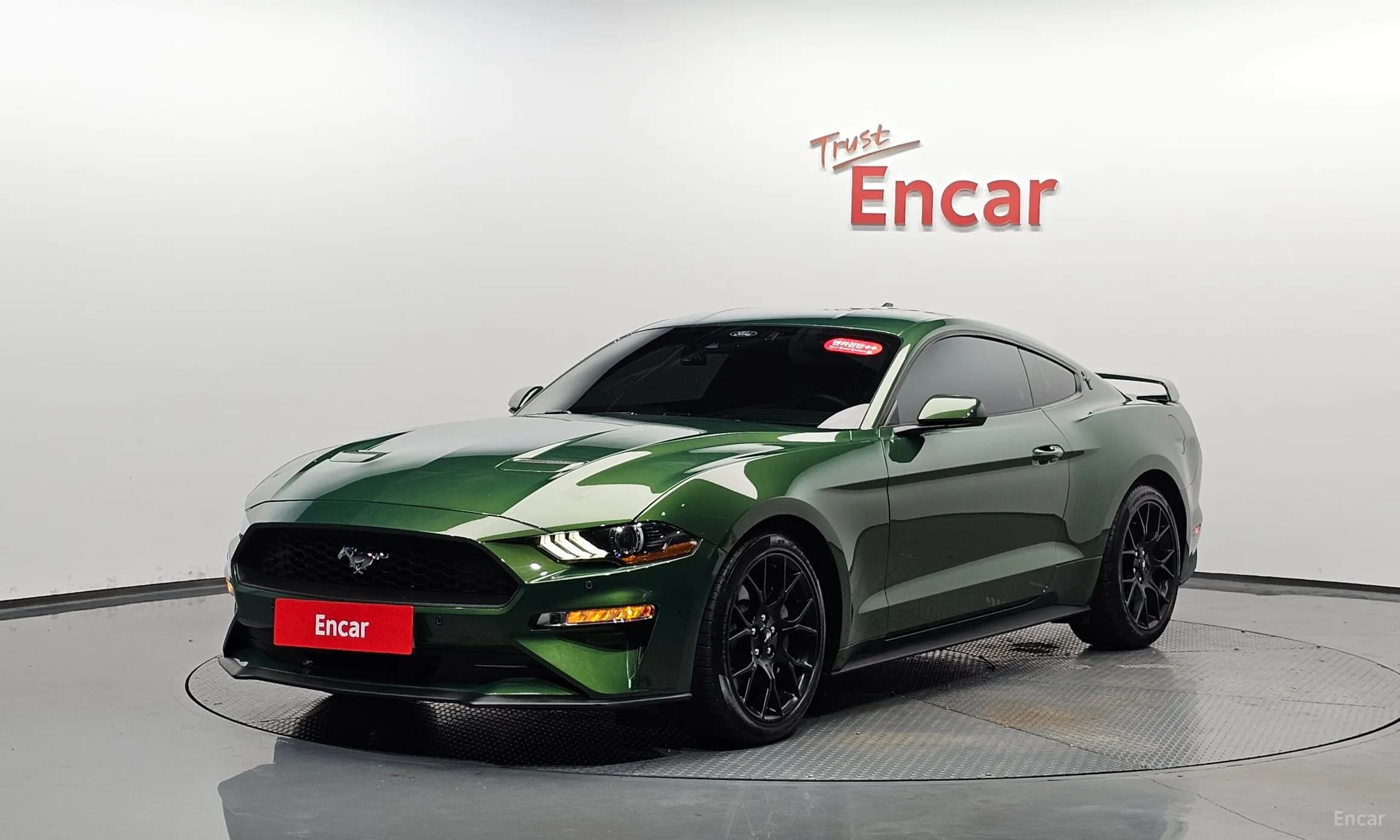 Mustang
