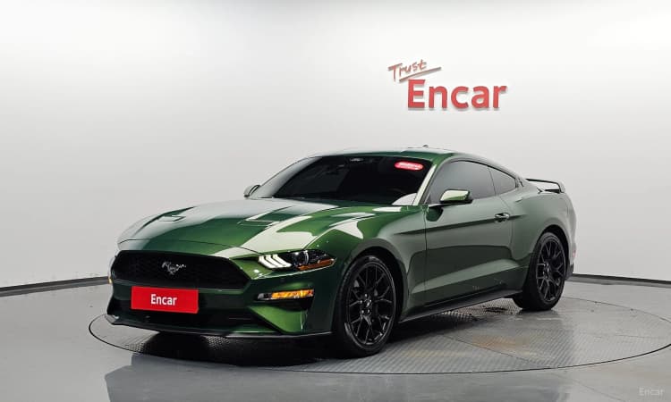 Mustang