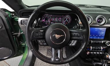 Mustang