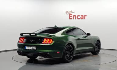Mustang