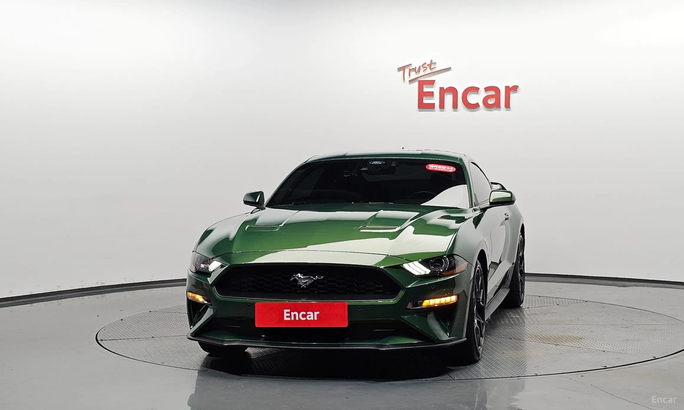 Mustang