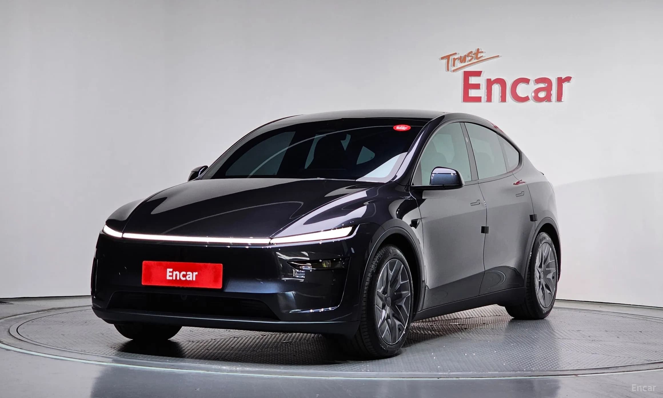 Model Y
