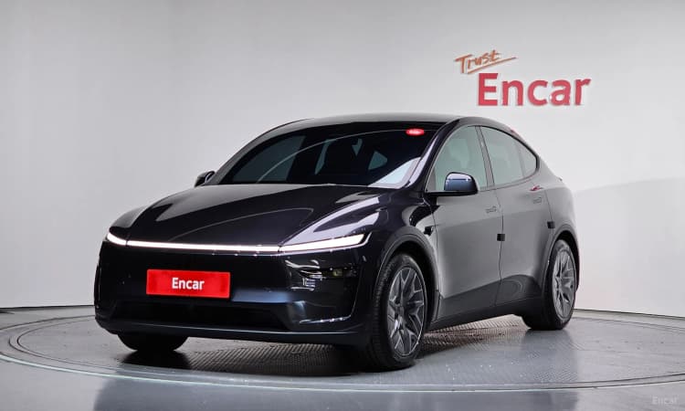 Model Y