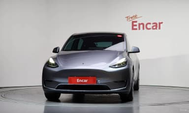 Model Y