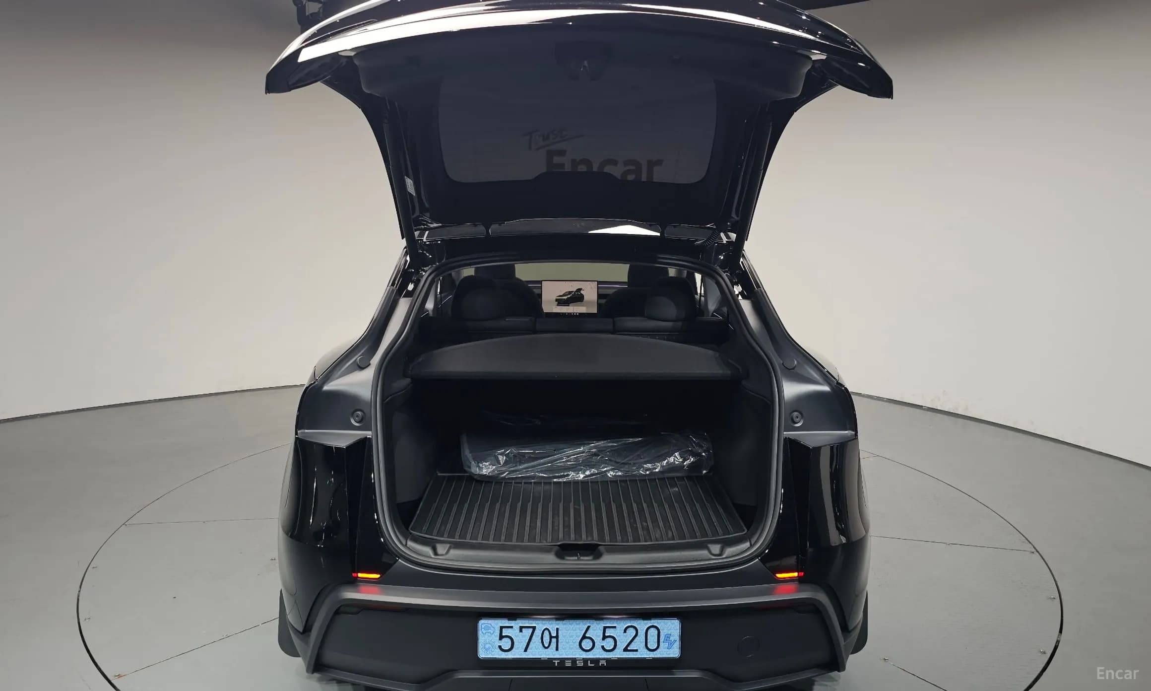 Model Y