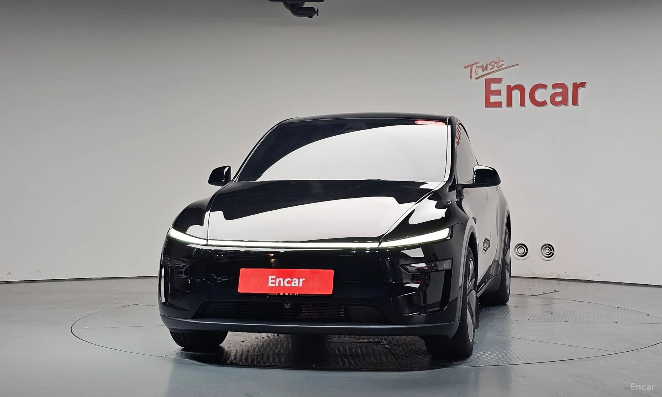 Model Y