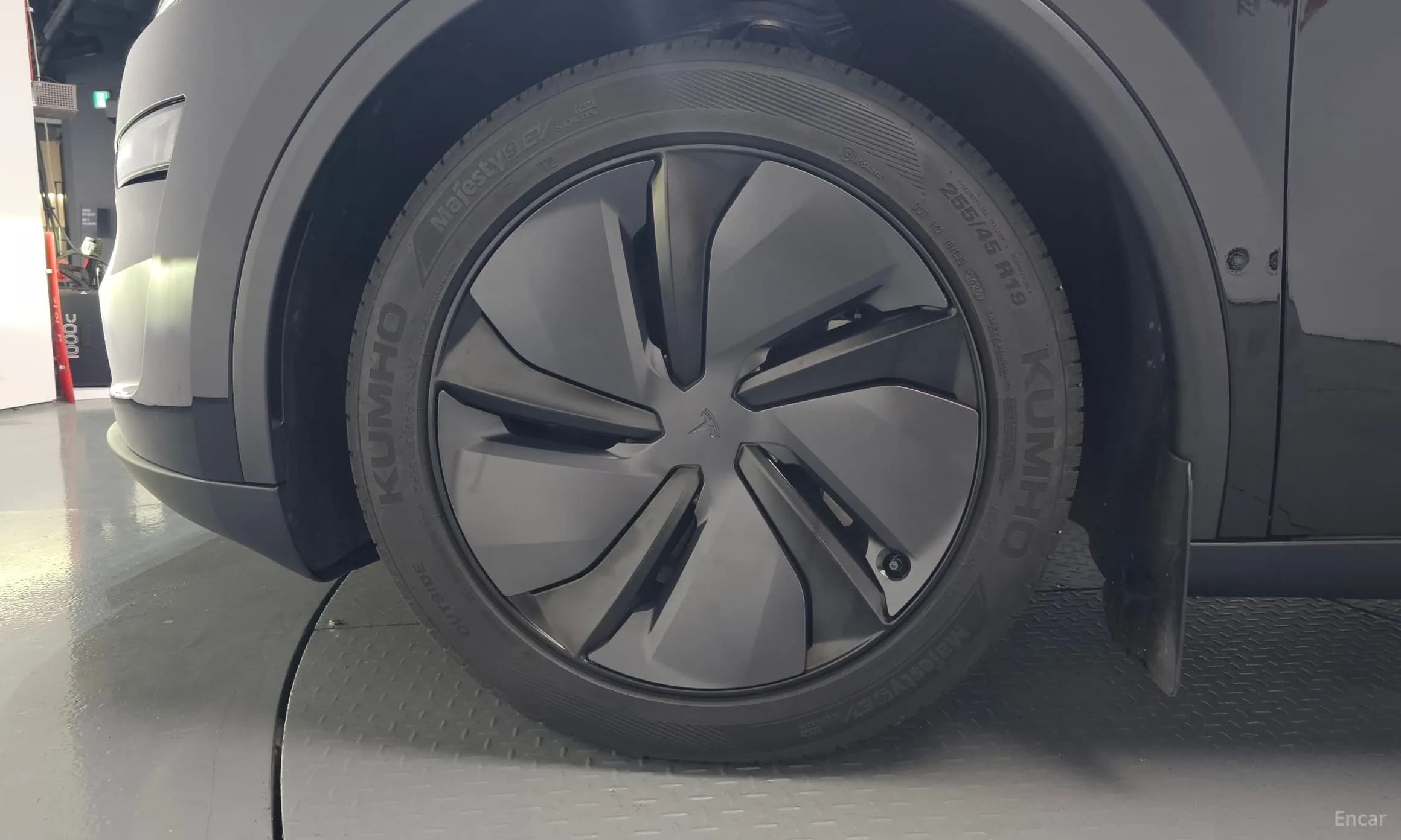 Model Y