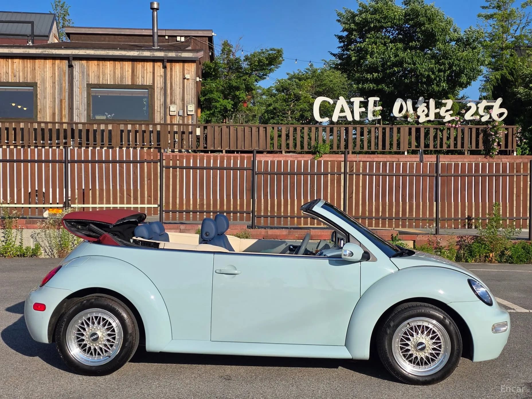 New Beetle