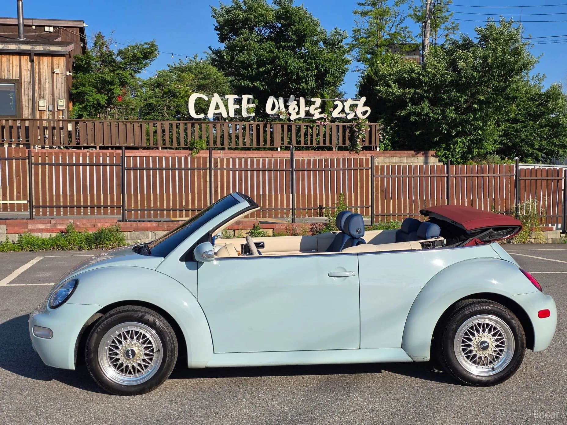 New Beetle