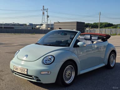 New Beetle