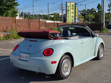 New Beetle