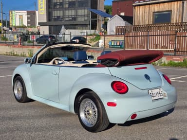 New Beetle