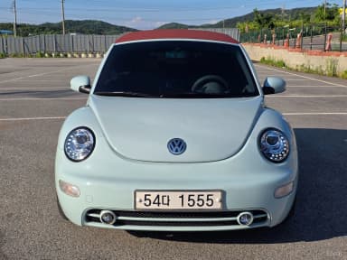 New Beetle