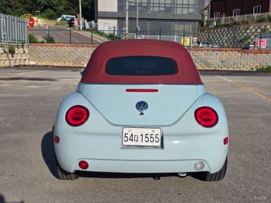 New Beetle