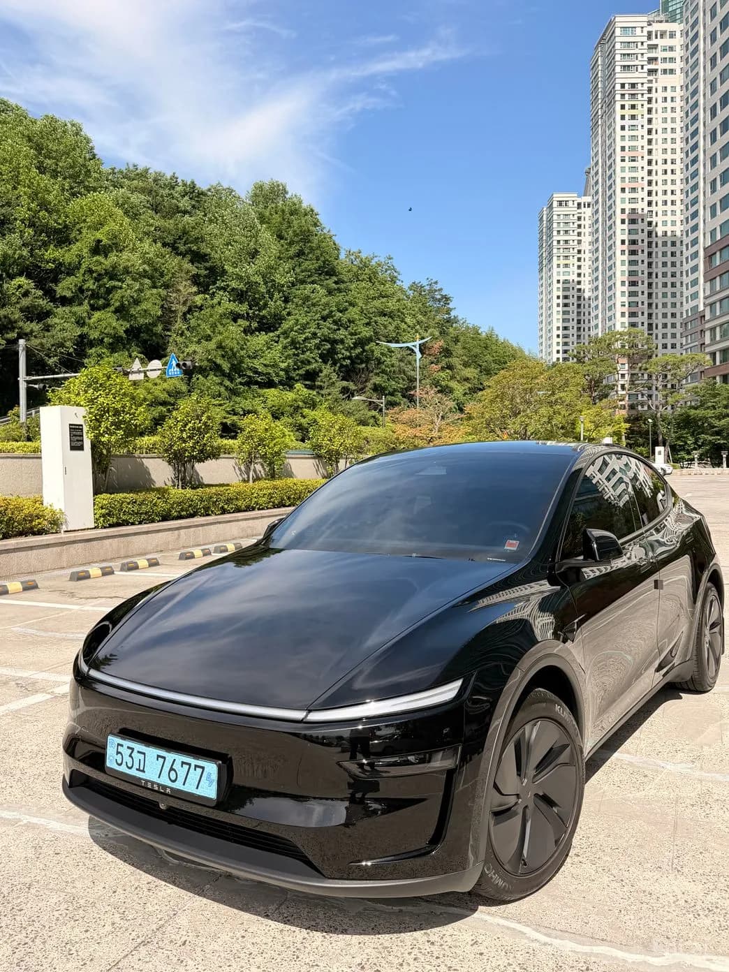 Model Y