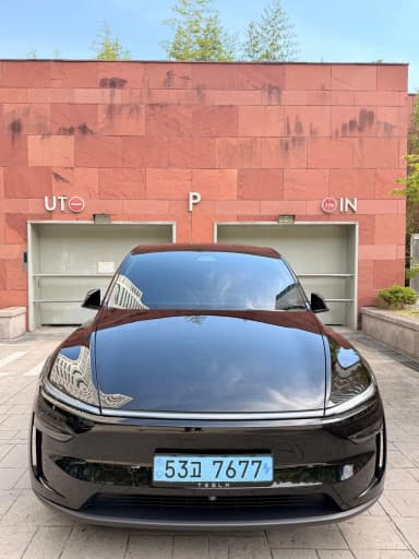 Model Y