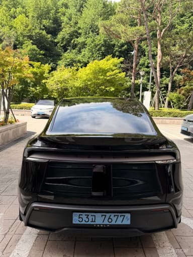 Model Y