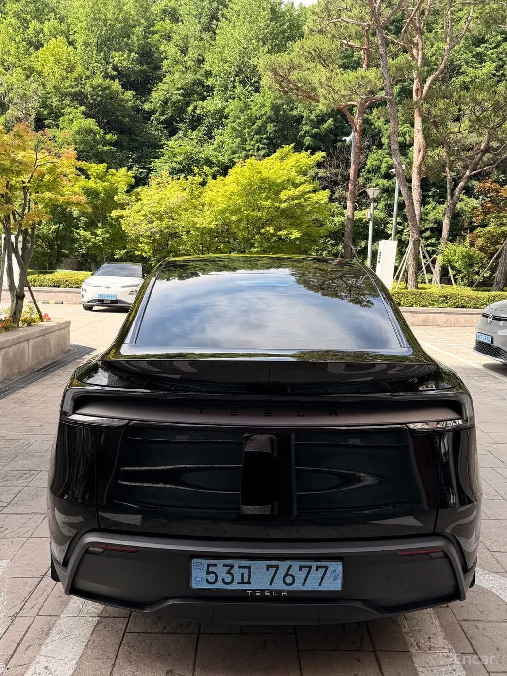 Model Y