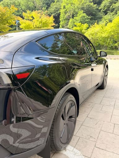 Model Y