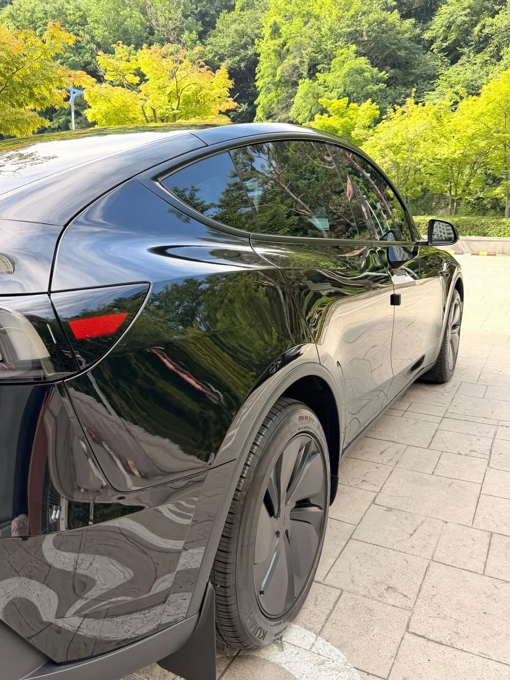 Model Y