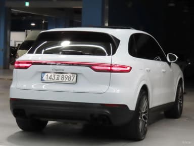 Cayenne (PO536)